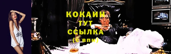ПСИЛОЦИБИНОВЫЕ ГРИБЫ Баксан