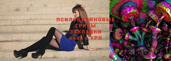 ПСИЛОЦИБИНОВЫЕ ГРИБЫ Баксан