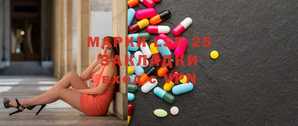ПСИЛОЦИБИНОВЫЕ ГРИБЫ Баксан