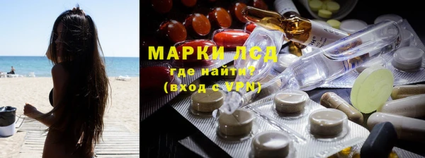 ПСИЛОЦИБИНОВЫЕ ГРИБЫ Баксан
