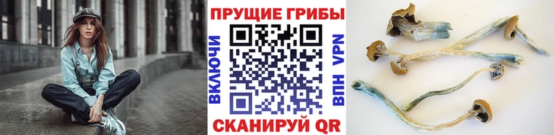 Галлюциногенные грибы MAGIC MUSHROOMS  Кыштым 